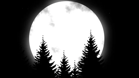 Full Moon Night Animation Stock Footage 112618647