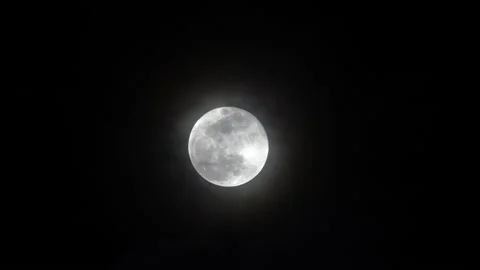 Full moon on night background 스톡 동영상 229427301