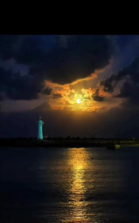 Full moon night at beach side Stock Footage 343648266
