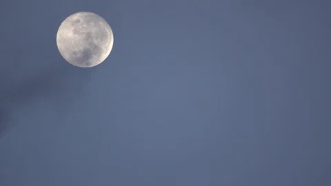 Full moon night 動画素材 125469218