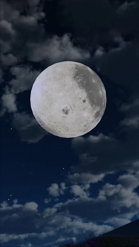 Full Moon in the night Stock Footage 246697405