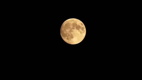 Full moon in the night Stock Footage 295853945