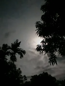 Full Moon At Night Full Moon In The Night Sky Moonrise Night Landscape Natu Stock-Fotos