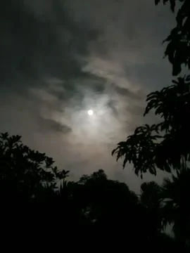 Full Moon At Night Full Moon In The Night Sky Moonrise Night Landscape Natu Stock Photos