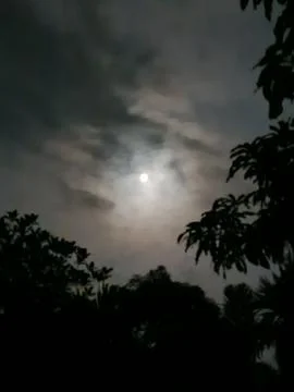 Full Moon At Night Full Moon In The Night Sky Moonrise Night Landscape Natu Stock Photos