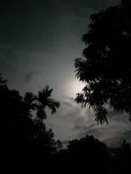 Full Moon At Night Full Moon In The Night Sky Moonrise Night Landscape Natu Stock Photos