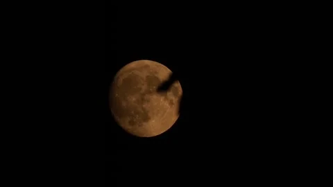 Full moon at night hides behind trees and leaves Stock Footage 246005958