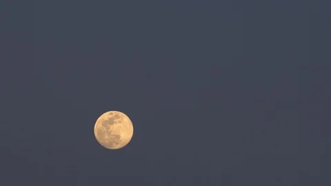Full moon night landscape with forest lake. Stock Footage 106621084