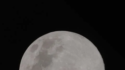 Full moon night move bottom to top Stock Footage 130361415