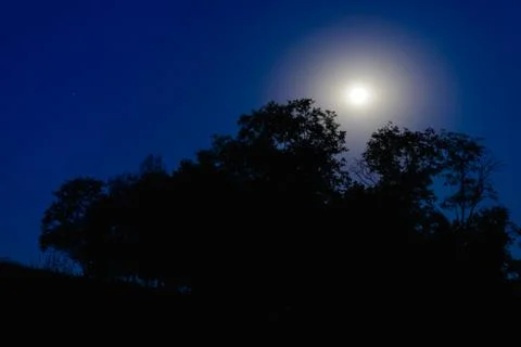 Full moon night Foto stock