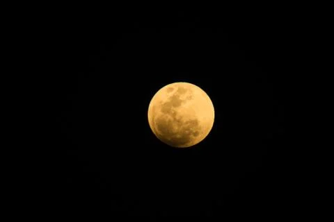 Full moon in the night Foto stock