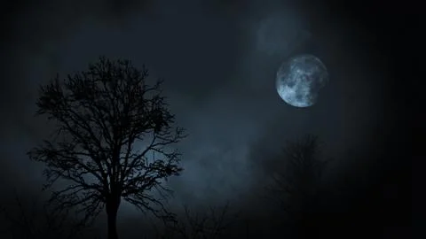 Full moon at night rising between evergreen tree forest with clouds 3d illust Stock Illustration
