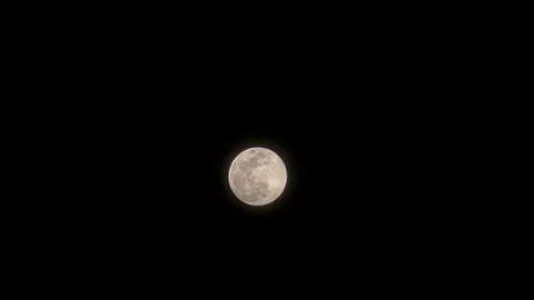 Full moon in night sky Stock Footage 79803072