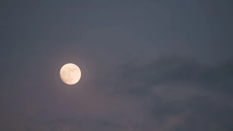 Full moon in night sky Stock Footage 116385761