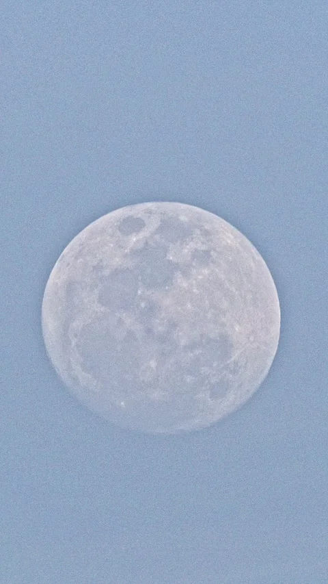Full Moon in the Night Sky 스톡 동영상 344105686