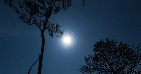 Full Moon Night Sky over Khao Chang Puak Summit (4K Time-lapse) Video stock 107905015