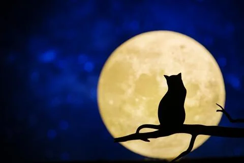 Full moon in the night sky Stock Photos