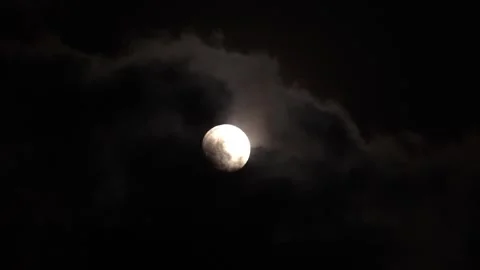 Full moon night view from a indian village. Stock Footage 320816795