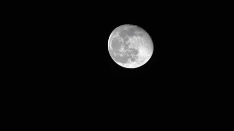 Full moon with no light pollution taken from jungle. Stock Footage 132396044