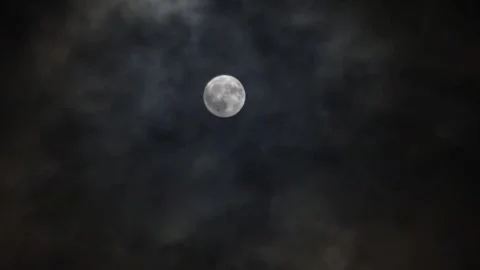 Full moon November 23, 2018 Video stock 223333294