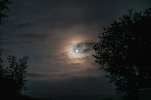 Full moon obscured by clouds casting warm light over silhouetted trees 스톡 사진