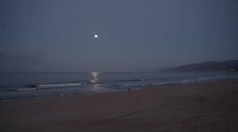 Full Moon Ocean Beach Stock Footage
