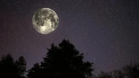 Full moon orbiting above tree tops Stock Footage 113860192