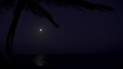 Full Moon over the Caribbean beach at night Stock Footage 156873963