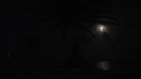 Full Moon over the Caribbean beach at night Stock Footage 156874065
