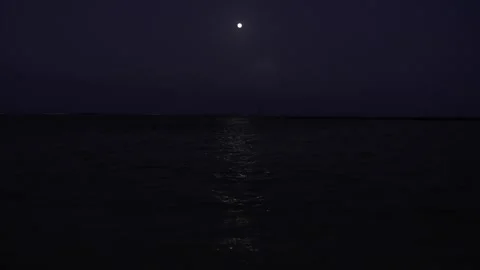Full Moon over the Caribbean beach at night Stock Footage 156874074