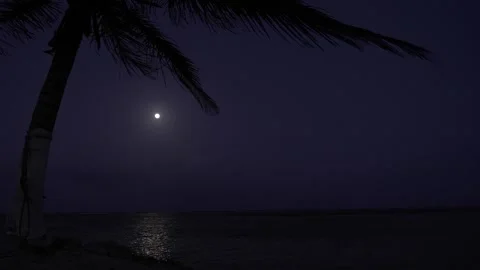Full Moon over the Caribbean beach at night Stock Footage 156874276