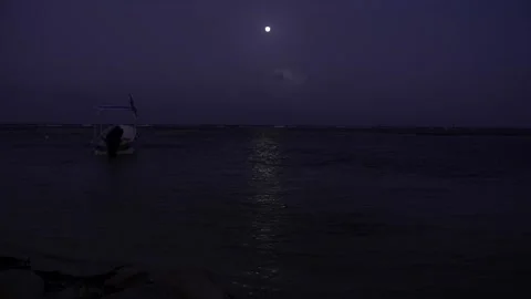 Full Moon over the Caribbean beach at night Stock Footage 156874425