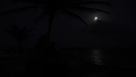 Full Moon over the Caribbean beach at night Stock Footage 156874645