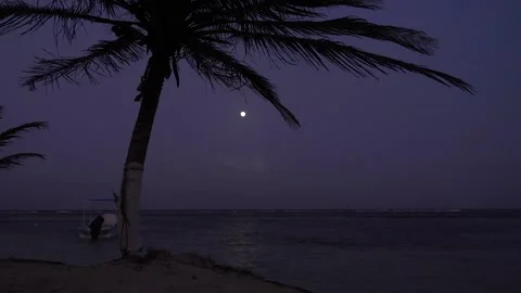 Full Moon over the Caribbean beach at night Stock Footage 156874651