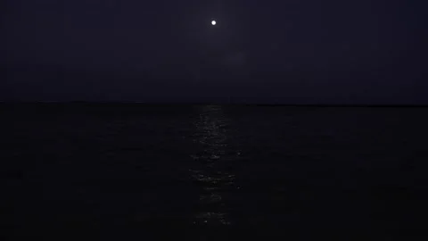 Full Moon over the Caribbean beach at night Stock Footage 156937165