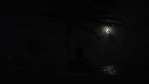 Full Moon over the Caribbean beach at night Stock Footage 156937328