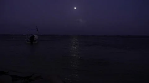 Full Moon over the Caribbean beach at night Stock Footage 156937900