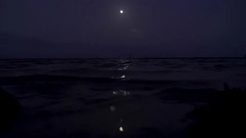 Full Moon over the Caribbean beach at night Stock Footage 156937913