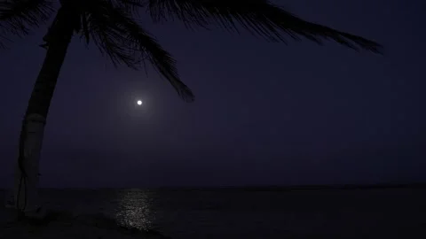 Full Moon over the Caribbean beach at night Stock Footage 156937939