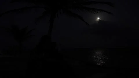 Full Moon over the Caribbean beach at night Stock Footage 156938094