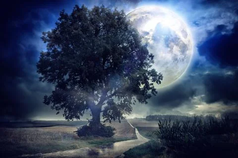 Full moon over corn field Stock Photos
