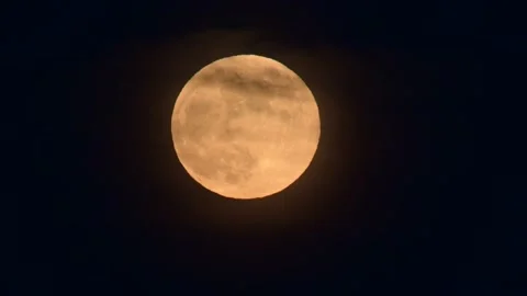 Full moon over dark sky Stock-Footage 137409992