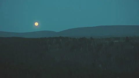 Full moon over the forest. Full moon night. Stock Footage 130744479