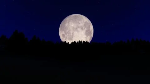 Full moon over the forest Stock-Illustration