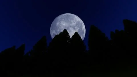 Full moon over the forest Illustrazione stock