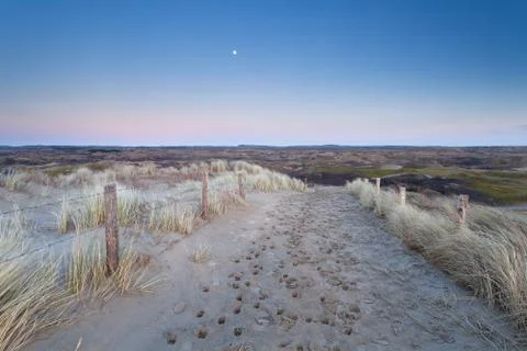Full moon over sand path in dunes Stock Photos