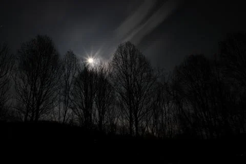 Full Moon Over Trees Stock Photos