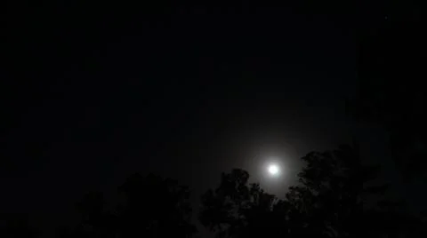 Full moon over trees Stock Photos