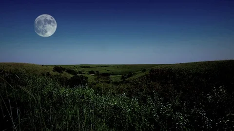 Full Moon Over Wild Prairie Stock Footage 69750452
