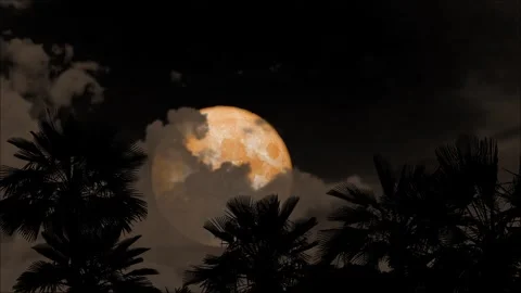 Full moon passing back gray cloud on night sky and silhouette palm tree on .. Stock Footage 247357909